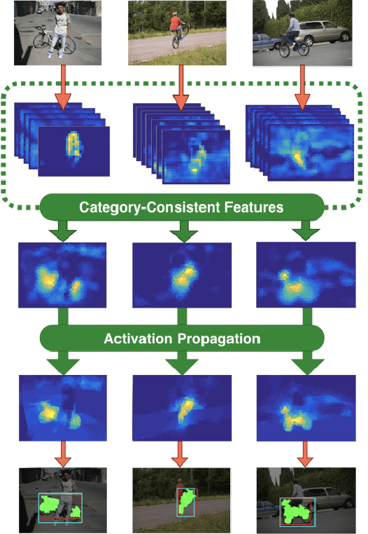 Figure 1 for Co-localization with Category-Consistent CNN Features and Geodesic Distance Propagation