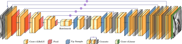 Figure 3 for Self-supervised Denoising via Low-rank Tensor Approximated Convolutional Neural Network