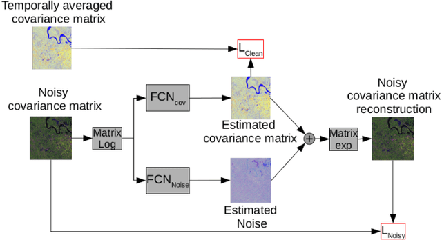 Figure 1 for Despeckling Polarimetric SAR Data Using a Multi-Stream Complex-Valued Fully Convolutional Network