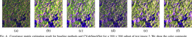 Figure 4 for Despeckling Polarimetric SAR Data Using a Multi-Stream Complex-Valued Fully Convolutional Network