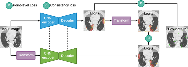 Figure 3 for A Weakly Supervised Consistency-based Learning Method for COVID-19 Segmentation in CT Images