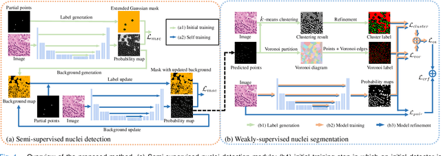 Figure 1 for Weakly Supervised Deep Nuclei Segmentation Using Partial Points Annotation in Histopathology Images