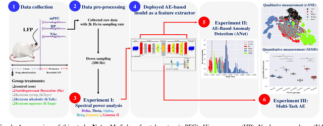 Figure 1 for ANet: Autoencoder-Based Local Field Potential Feature Extractor for Evaluating An Antidepressant Effect in Mice after Administering Kratom Leaf Extracts