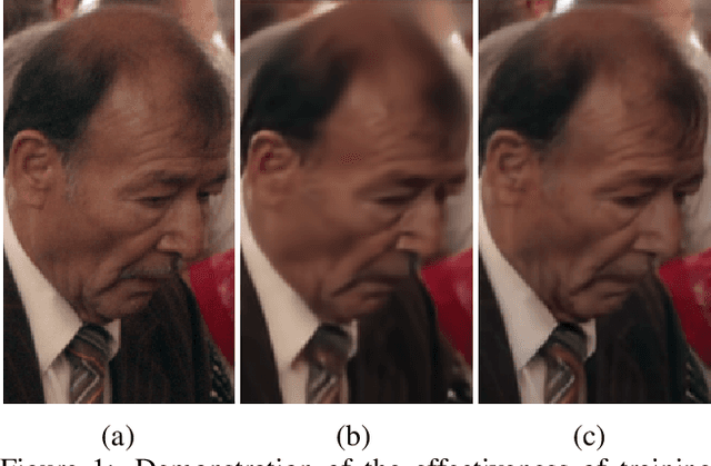 Figure 1 for Adversarial Distortion for Learned Video Compression