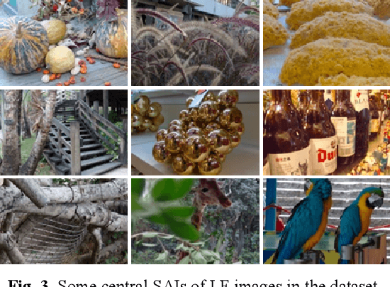 Figure 4 for SADN: Learned Light Field Image Compression with Spatial-Angular Decorrelation