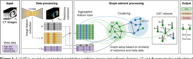 Figure 1 for U-GAT: Multimodal Graph Attention Network for COVID-19 Outcome Prediction