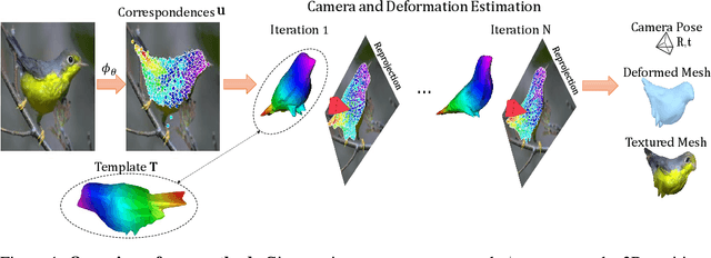Figure 1 for To The Point: Correspondence-driven monocular 3D category reconstruction