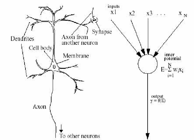 Figure 1 for Neural Mesh: Introducing a Notion of Space and Conservation of Energy to Neural Networks