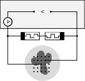 Figure 2 for Connecting Spiking Neurons to a Spiking Memristor Network Changes the Memristor Dynamics