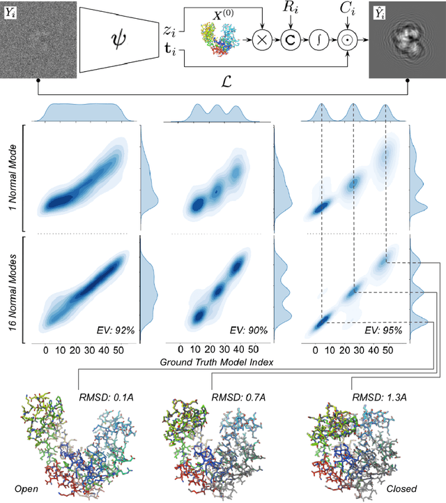 Figure 1 for Heterogeneous reconstruction of deformable atomic models in Cryo-EM