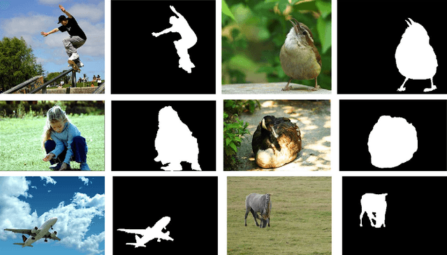 Figure 3 for Deep Learning with Darwin: Evolutionary Synthesis of Deep Neural Networks