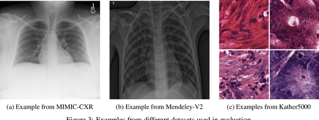 Figure 4 for Weakly-Supervised Feature Learning via Text and Image Matching