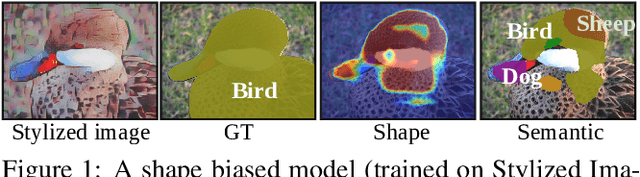 Figure 1 for Shape or Texture: Understanding Discriminative Features in CNNs