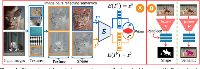 Figure 3 for Shape or Texture: Understanding Discriminative Features in CNNs
