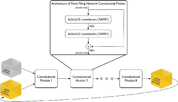 Figure 1 for Scaling Distributed Training of Flood-Filling Networks on HPC Infrastructure for Brain Mapping