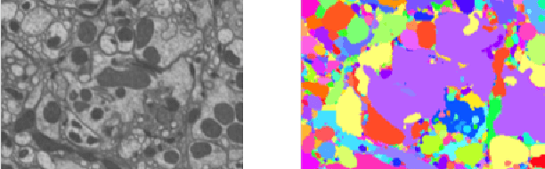 Figure 2 for Scaling Distributed Training of Flood-Filling Networks on HPC Infrastructure for Brain Mapping