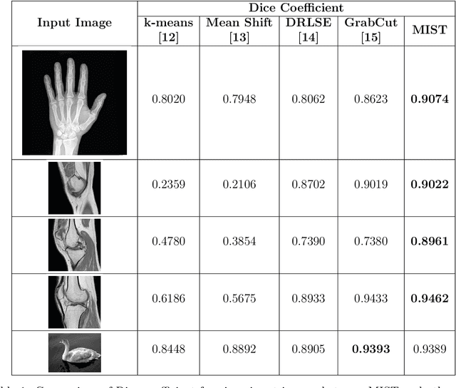 Figure 2 for An Interactive Medical Image Segmentation Framework Using Iterative Refinement