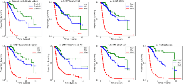 Figure 3 for A Multi-modal Fusion Framework Based on Multi-task Correlation Learning for Cancer Prognosis Prediction