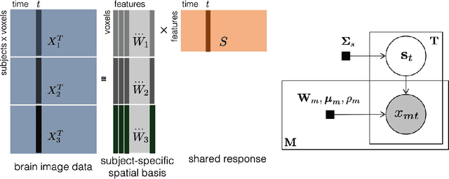 Figure 2 for Incorporating structured assumptions with probabilistic graphical models in fMRI data analysis