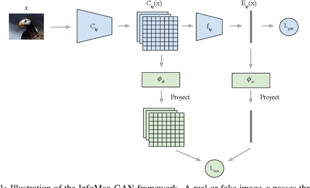 Figure 1 for InfoMax-GAN: Improved Adversarial Image Generation via Information Maximization and Contrastive Learning