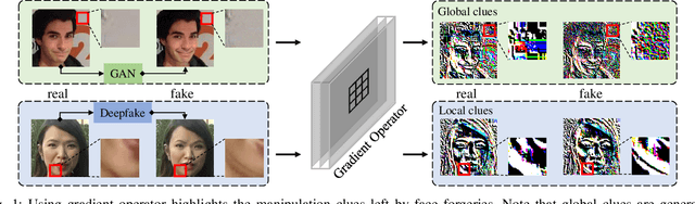 Figure 1 for Rethinking Gradient Operator for Exposing AI-enabled Face Forgeries