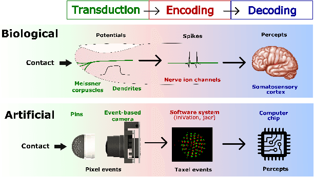 Figure 1 for NeuroTac: A Neuromorphic Optical Tactile Sensor applied to Texture Recognition