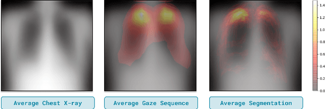 Figure 1 for The Importance of Background Information for Out of Distribution Generalization