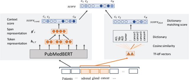 Figure 1 for End-to-end Biomedical Entity Linking with Span-based Dictionary Matching