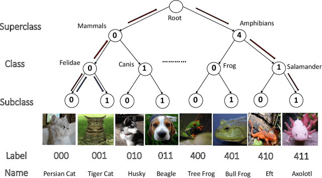 Figure 1 for Encoding Hierarchical Information in Neural Networks helps in Subpopulation Shift