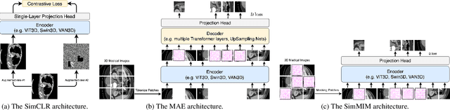 Figure 1 for Masked Image Modeling Advances 3D Medical Image Analysis