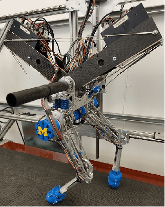 Figure 1 for Learning Stable and Energetically Economical Walking with RAMone