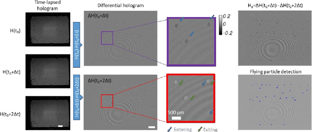 Figure 4 for Virtual impactor-based label-free bio-aerosol detection using holography and deep learning