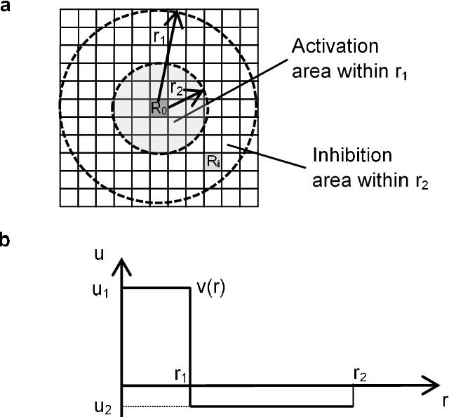 Figure 3 for Mimicry mechanism model of octopus epidermis pattern by inverse operation of Turing reaction model