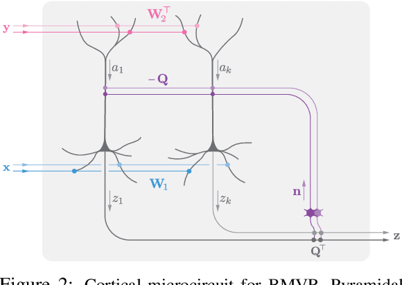 Figure 3 for A biologically plausible neural network for local supervision in cortical microcircuits