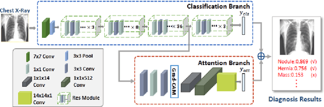 Figure 1 for ChestNet: A Deep Neural Network for Classification of Thoracic Diseases on Chest Radiography