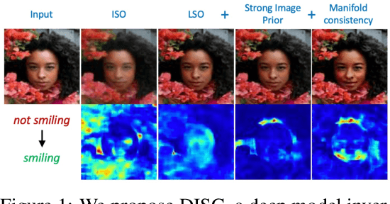 Figure 1 for Designing Counterfactual Generators using Deep Model Inversion