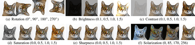 Figure 3 for Multiple Pretext-Task for Self-Supervised Learning via Mixing Multiple Image Transformations