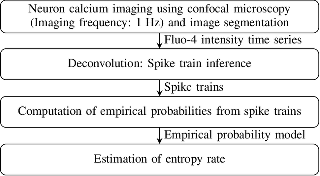 Figure 2 for Information Content in Neuronal Calcium Spike Trains: Entropy Rate Estimation based on Empirical Probabilities