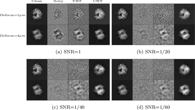 Figure 1 for Denoising and Covariance Estimation of Single Particle Cryo-EM Images