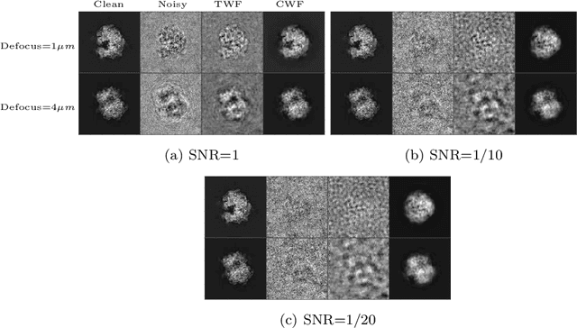 Figure 4 for Denoising and Covariance Estimation of Single Particle Cryo-EM Images