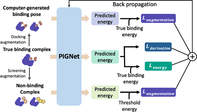 Figure 3 for PIGNet: A physics-informed deep learning model toward generalized drug-target interaction predictions