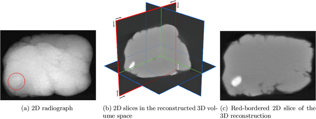 Figure 1 for A tomographic workflow to enable deep learning for X-ray based foreign object detection