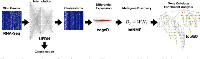 Figure 1 for Learning a Generative Model of Cancer Metastasis