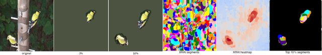 Figure 3 for Segment Integrated Gradients: Better attributions through regions