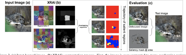 Figure 4 for Segment Integrated Gradients: Better attributions through regions