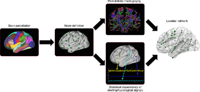 Figure 1 for Comparison of Brain Networks with Unknown Correspondences