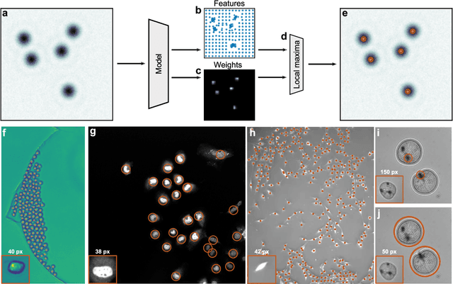 Figure 3 for Single-shot self-supervised particle tracking