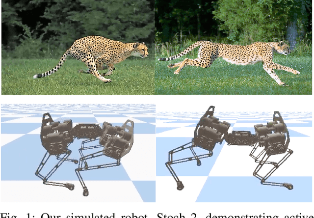 Figure 1 for Learning Active Spine Behaviors for Dynamic and Efficient Locomotion in Quadruped Robots