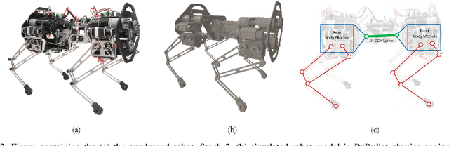 Figure 2 for Learning Active Spine Behaviors for Dynamic and Efficient Locomotion in Quadruped Robots