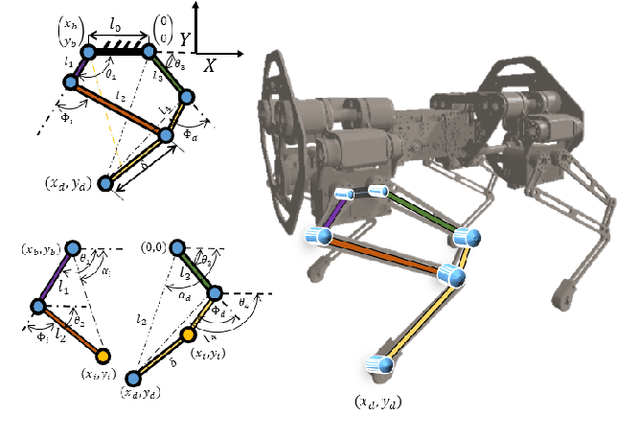 Figure 3 for Learning Active Spine Behaviors for Dynamic and Efficient Locomotion in Quadruped Robots